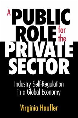 Public Role for the Private Sector