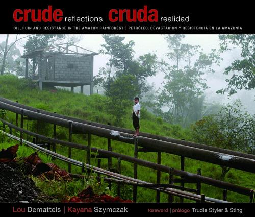 Crude Reflections / Cruda Realidad