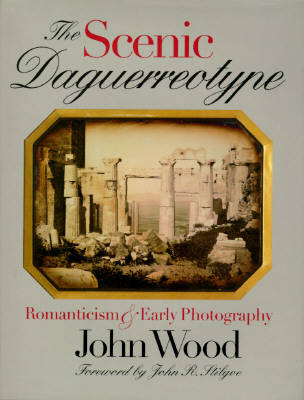 The Scenic Daguerreotype