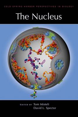 The Nucleus