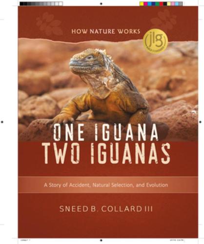 One Iguana, Two Iguanas