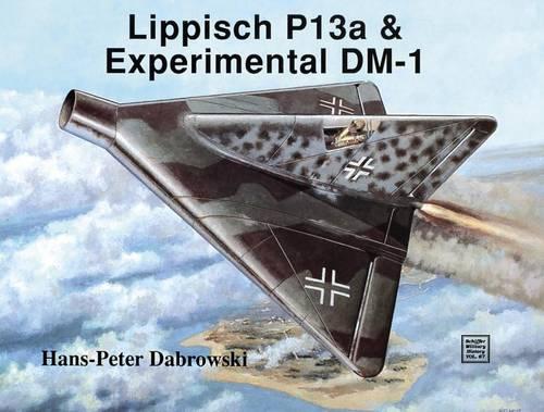 Lippisch P 13a and Experimental DM-1