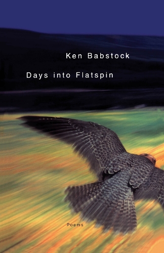 Days into Flatspin