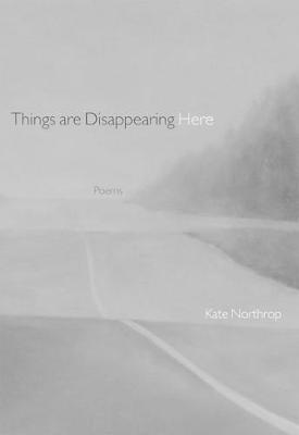 Things Are Disappearing Here: Poems