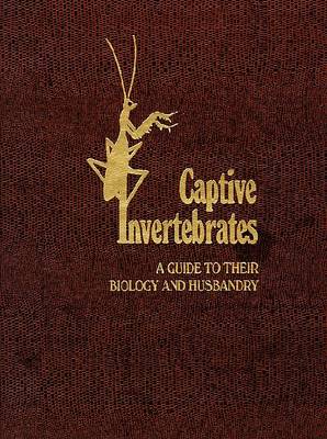Captive Invertebrates