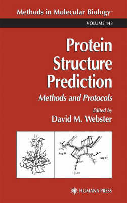 Protein Structure Prediction
