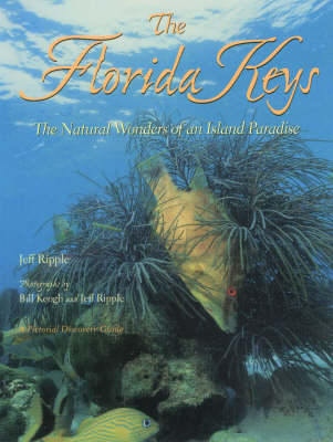 The Florida Keys