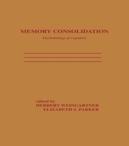 Memory Consolidation