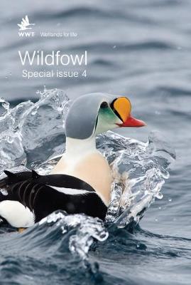 Wildfowl Special Issue 4