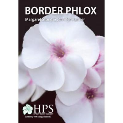 Border Phlox