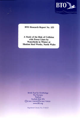 A Study of Risk of Collision with Power Lines by Waterbirds in Winter at Shotton Steel Works, North Wales