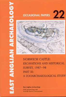 Norwich Castle