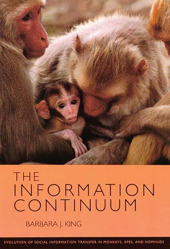 The  Information Continuum