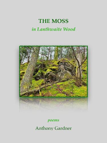 The Moss in Lanthwaite Wood
