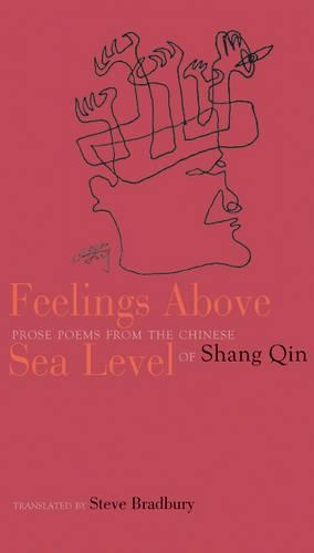 Feelings Above Sea Level