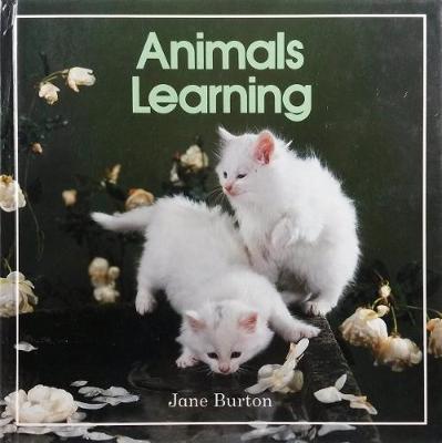 Animals Learning