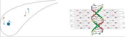 Orientation Physics