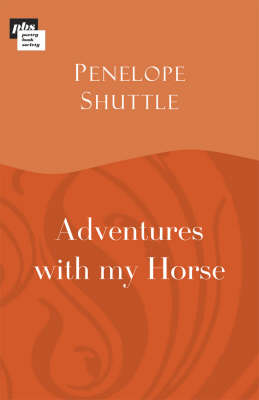 Adventures with My Horse
