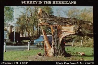 Surrey in the Hurricane: Great Storm of October 16th 1987