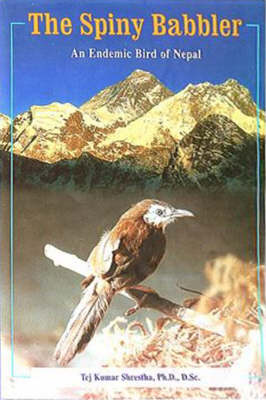 Spiny Babbler