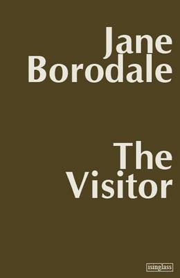 The Visitor