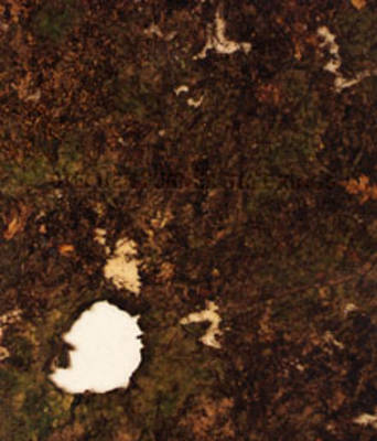 "Tree Rings"