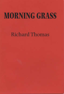 Morning Grass