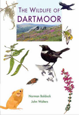 The Wildlife of Dartmoor