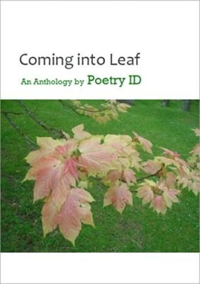 Coming into Leaf