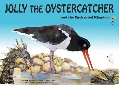 Jolly The Oystercatcher