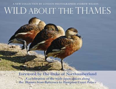 Wild About the Thames
