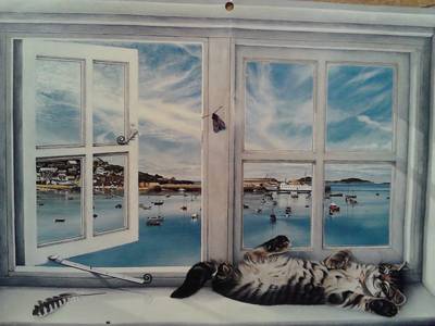 Isles of Scilly Cats in Windows