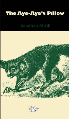 The Aye-Aye's Pillow