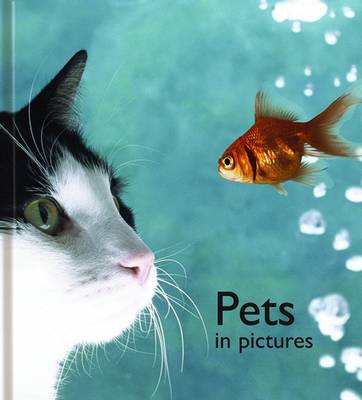 Pets in Pictures
