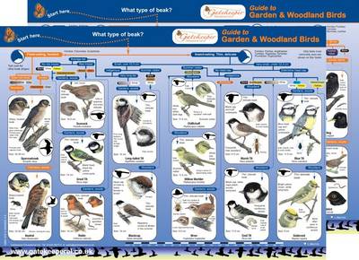 Guide to Common Birds