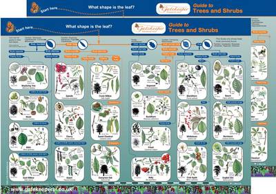 Guide to Trees and Shrubs
