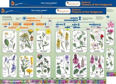 Guide to Flowers of the Hedgerow