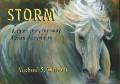 Storm