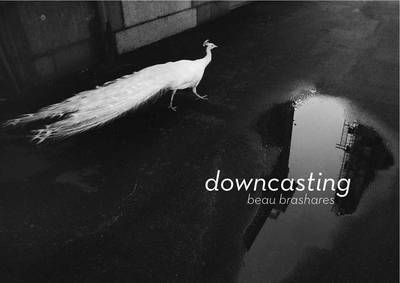 Downcasting