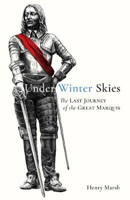 Under Winter Skies