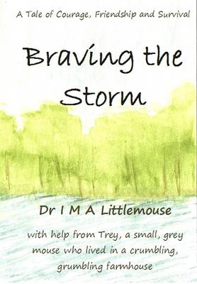 Braving the Storm