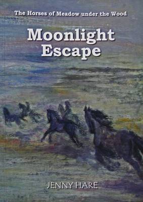 Moonlight Escape