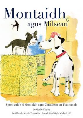 Montaidh Agus Milsean