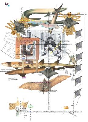 Jara (-;