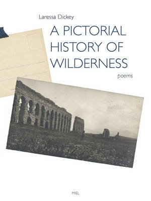 A Pictorial History of Wilderness