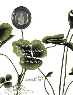 A Piece of Information About His Invisibility