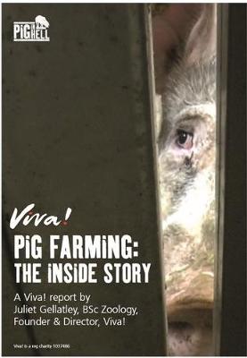 Pig Farming: The Inside Story