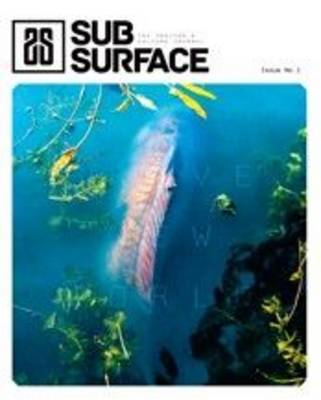 Subsurface