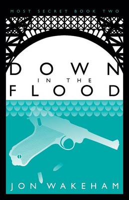 Down in the Flood