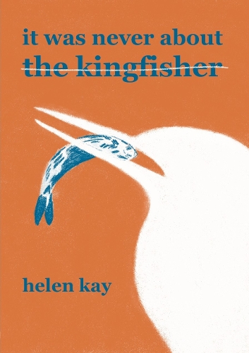It Was Never About the Kingfisher